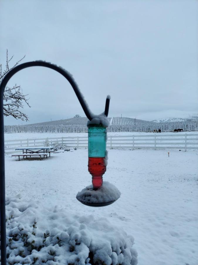 Applinger Farm Affittacamere